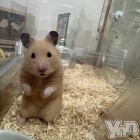 ���ܥ��ʥå��������륺�С� ���󥫥ե� Home Room(���󥫥ե��ۡ���롼��) �ʤΤ�8��9���̥�֥����ֽ뤹���ޤ���!?��