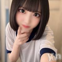 体験入店うさぎ
