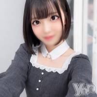 体験入店うさぎ