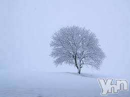 ܻԥХ顦 ܥʥȥƥŹ(եʥȥƥȥƥ)Źޥ᡼ܡ֥ƥȡ