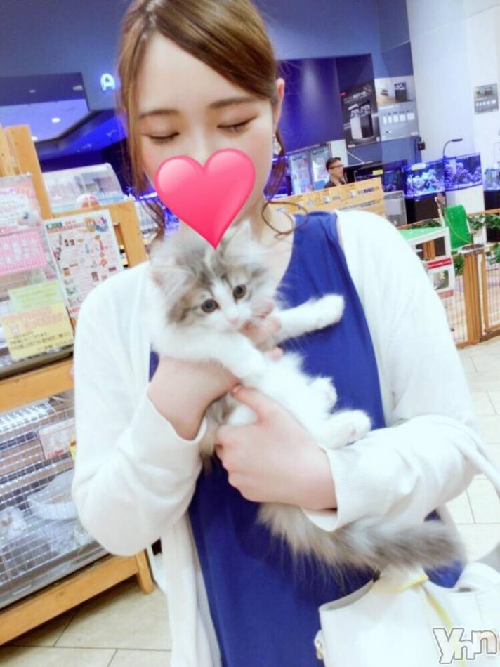 甲府ソープの2018年11月25日お店速報「柑橘系さわやかエロスれもんちゃん本日初出勤」