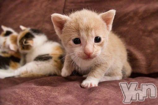 甲府ソープの2021年12月29日お店速報「今年31日まで営業中です♪」