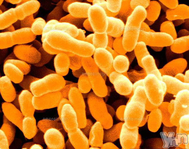 甲府ソープの2022年2月21日お店速報「感染対策バッチリなお店です。」