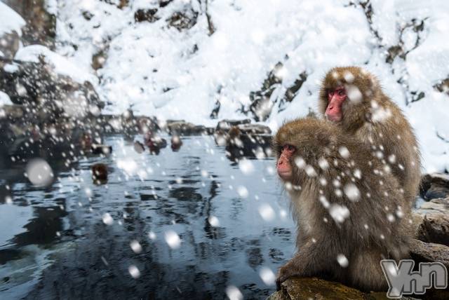 甲府ソープの2022年5月3日お店速報「いつでもどこでも感染予防！」