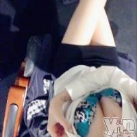 甲府ソープ オレンジハウスの2月3日お店速報「2月３日♪オレンジハウスの美女軍団」