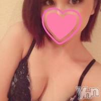 甲府ソープ オレンジハウスの11月14日お店速報「新人＆再登場告知」