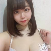 甲府ソープ オレンジハウスの1月30日お店速報「君とクラゲと赤提灯」