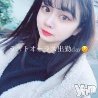 甲府ソープ オレンジハウスの2月3日お店速報「おぱおぱ。。。おぱぱぱーーーい」