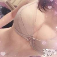 甲府ソープ オレンジハウスの3月15日お店速報「今日も本気出していきます」