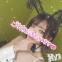 甲府ソープ オレンジハウスの9月21日お店速報「絶好調！！大統領！！」