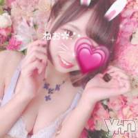 甲府ソープ オレンジハウスの9月27日お店速報「ＷＯＮＴＥＤ！！」