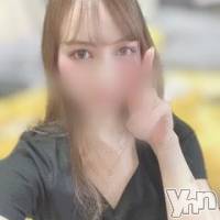 甲府ソープ オレンジハウスの12月14日お店速報「石蹄リニューアルオープンのお知らせ。」