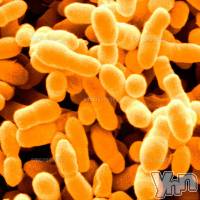 甲府ソープ オレンジハウスの2月21日お店速報「感染対策バッチリなお店です。」