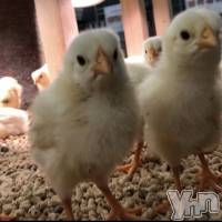 甲府ソープ オレンジハウスの5月7日お店速報「皆様のご協力お願い致しますm(_ _)m」