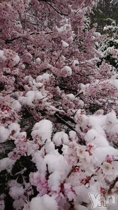 甲府デリヘルLOVE CLOVER(ラブクローバー) いずみ(25)の4月11日写メブログ「出勤しました❤︎」