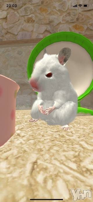 甲府デリヘルLOVE CLOVER(ラブクローバー) いずみ(25)の9月27日写メブログ「最近のお気に入り」