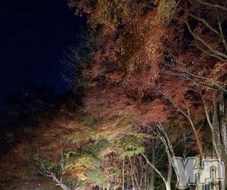 甲府デリヘルLOVE CLOVER(ラブクローバー) いずみ(25)の12月1日写メブログ「こんにちは」