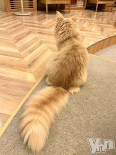 甲府デリヘルLOVE CLOVER(ラブクローバー)いずみ(25)の2023年12月30日写メブログ「ありがとう♡」