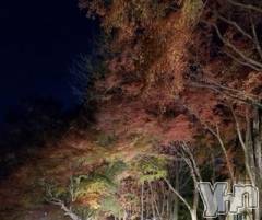 甲府デリヘルLOVE CLOVER(ラブクローバー) いずみ(25)の12月1日写メブログ「こんにちは」