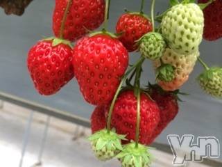 甲府デリヘル LOVE CLOVER(ラブクローバー) いずみ(26)の3月19日写メブログ「出勤してます❤︎」