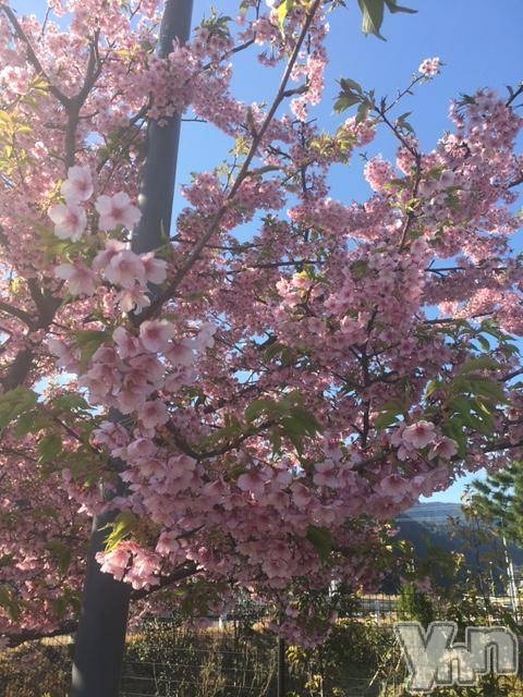 甲府デリヘルLOVE CLOVER(ラブクローバー)こはる(26)の2019年3月28日写メブログ「出勤してます^_^」