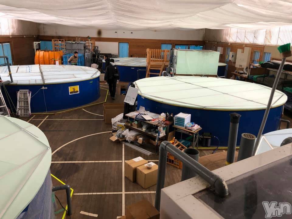 甲府デリヘルLOVE CLOVER(ラブクローバー)こはる(26)の2019年12月3日写メブログ「2019.12 →3日間限定イベント★」