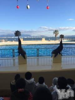 甲府デリヘルLOVE CLOVER(ラブクローバー)こはる(26)の2019年12月15日写メブログ「お久しぶりです！」