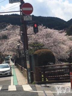 甲府デリヘルLOVE CLOVER(ラブクローバー)こはる(26)の2020年4月4日写メブログ「2日ぶりの出勤です★」