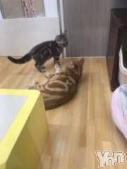 甲府デリヘルLOVE CLOVER(ラブクローバー) こはる(26)の8月18日写メブログ「お盆期間中有難う御座いました^_^」