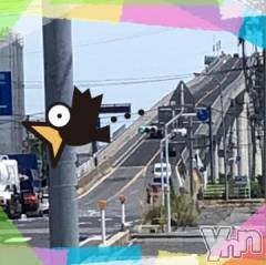 甲府デリヘルLOVE CLOVER(ラブクローバー) こはる(26)の8月18日写メブログ「健脚です( ^ω^ )」