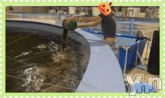 甲府デリヘルLOVE CLOVER(ラブクローバー) こはる(26)の9月18日写メブログ「もぐもぐたいむ」