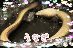 甲府デリヘルLOVE CLOVER(ラブクローバー) こはる(29)の1月27日写メブログ「久しぶり更新です！」