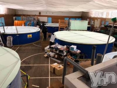 甲府デリヘル LOVE CLOVER(ラブクローバー) こはる(29)の12月3日写メブログ「2019.12 →3日間限定イベント★」