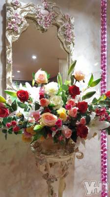 ٻεĻԥХ顦 Lounge Cinderella(饦󥸡ǥ)Źޥ᡼