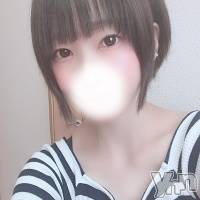 甲府デリヘル 山梨デリヘル　絆　甲府店(ヤマナシデリヘル　キズナ　コウフテン)の9月2日お店速報「本物の業界未経験のキレカワ娘！」