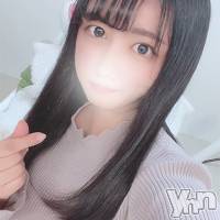 甲府デリヘル 山梨デリヘル　絆　甲府店(ヤマナシデリヘル　キズナ　コウフテン)の2月16日お店速報「極みパイパン美女...！!！」
