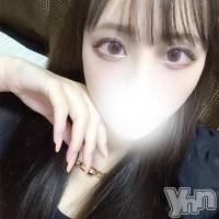 甲府デリヘル 山梨デリヘル　絆　甲府店(ヤマナシデリヘル　キズナ　コウフテン)の11月2日お店速報「清楚系の正統派Fカップ美女!!」