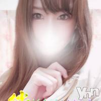 甲府デリヘル 山梨デリヘル　絆　甲府店(ヤマナシデリヘル　キズナ　コウフテン)の12月15日お店速報「甘えん坊なスレンダー美女！！！
」