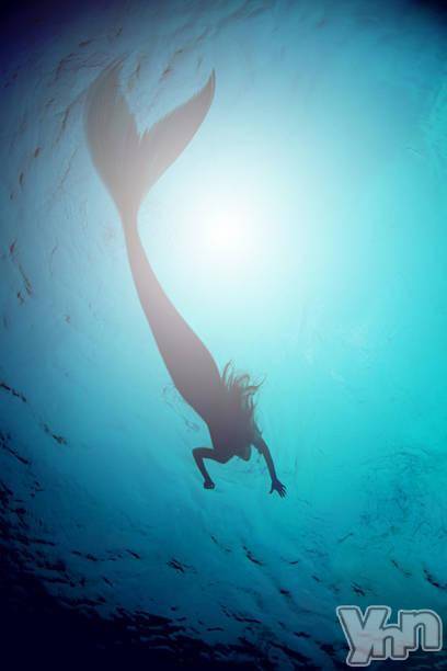 甲府デリヘル(ヤマナシヒトヅマデリヘルノートイエナイオンナタチ)の2017年12月21日お店速報「マーメイド割」