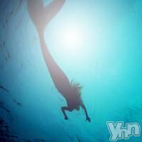 甲府デリヘル 山梨人妻デリヘルNoと言えない女達(ヤマナシヒトヅマデリヘルノートイエナイオンナタチ)の12月21日お店速報「マーメイド割」