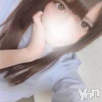 甲府デリヘル 山梨人妻デリヘルNoと言えない女達(ヤマナシヒトヅマデリヘルノートイエナイオンナタチ)の11月9日お店速報「抜群のルックス...!!
」