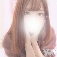 甲府デリヘル 山梨人妻デリヘルNoと言えない女達(ヤマナシヒトヅマデリヘルノートイエナイオンナタチ)の12月15日お店速報「激エロスレンダー若奥様！！」