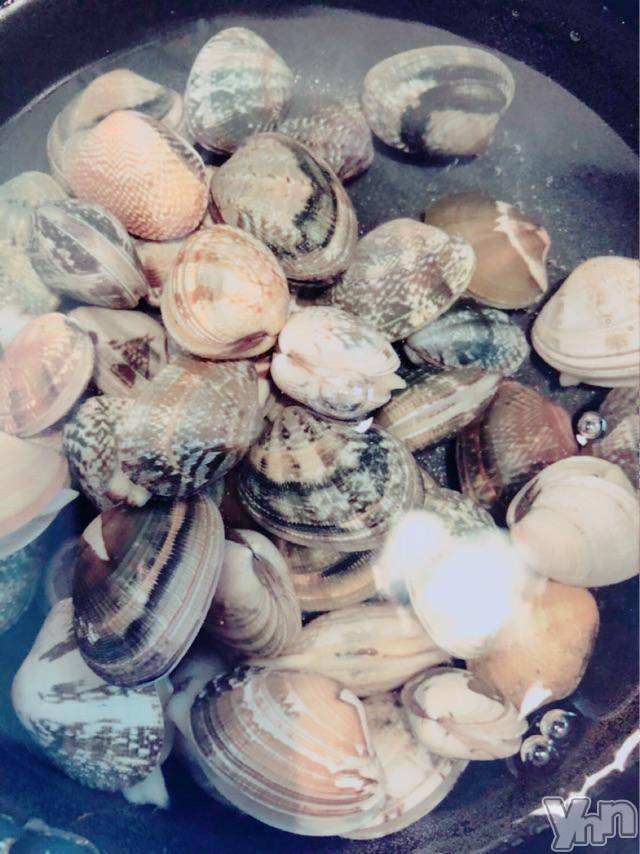 甲府デリヘルピサージュ甲府(ピサージュコウフ) まりん(25)の4月9日写メブログ「まりんワールド:あさりの味噌汁?CREAMの王子様?」