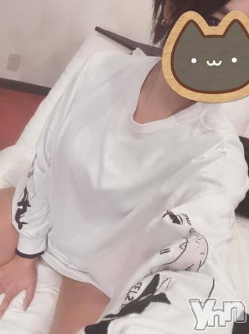 甲府デリヘルピサージュ甲府(ピサージュコウフ) まりん(25)の11月28日写メブログ「フェスタのFさん🐾」