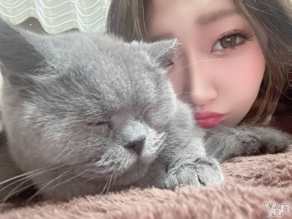 ���ܥ���Х��顦�����CLUB HEARTS(����֥ϡ���) ����3��6���̥�֥�����🫶��