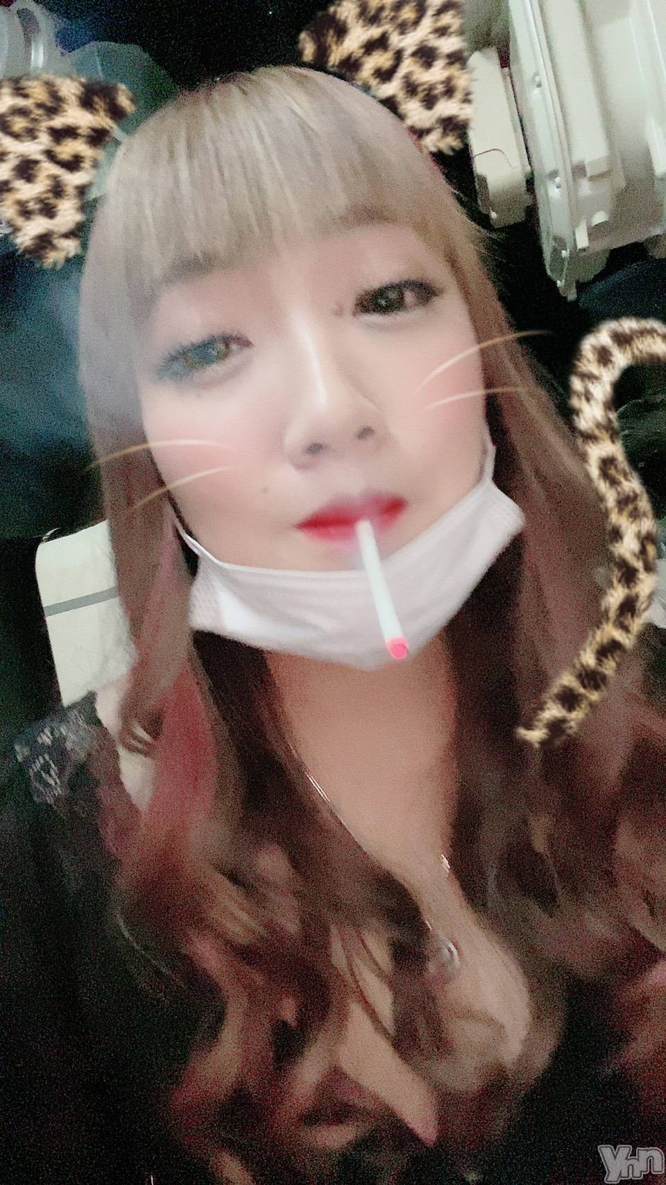 ���ܥ���Х��顦�����CLUB HEARTS(����֥ϡ���) ��2020ǯ11��11���̥�֥����֤��䡢����ϤҤɤ�w��