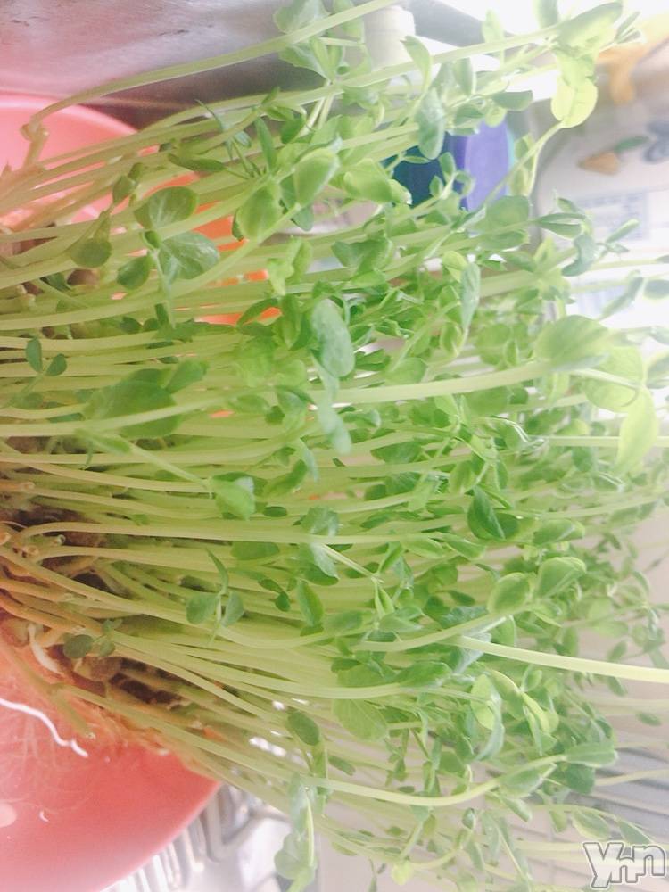 ���ܥ���Х��顦�����CLUB HEARTS(����֥ϡ���) ��2021ǯ1��27���̥�֥����֤�����💓💓💓��