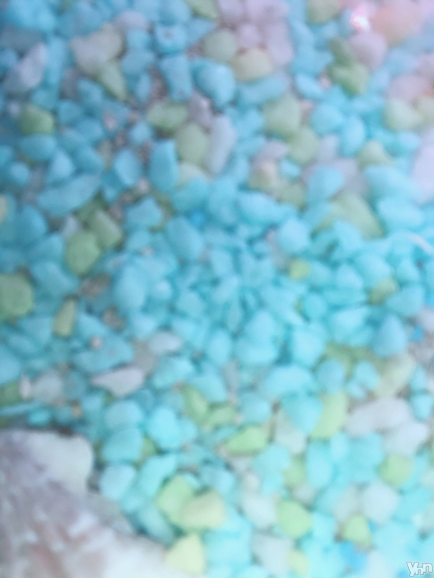 ���ܥ���Х��顦�����CLUB HEARTS(����֥ϡ���) ��2021ǯ1��28���̥�֥����ֻ䡻���餷���ġ�