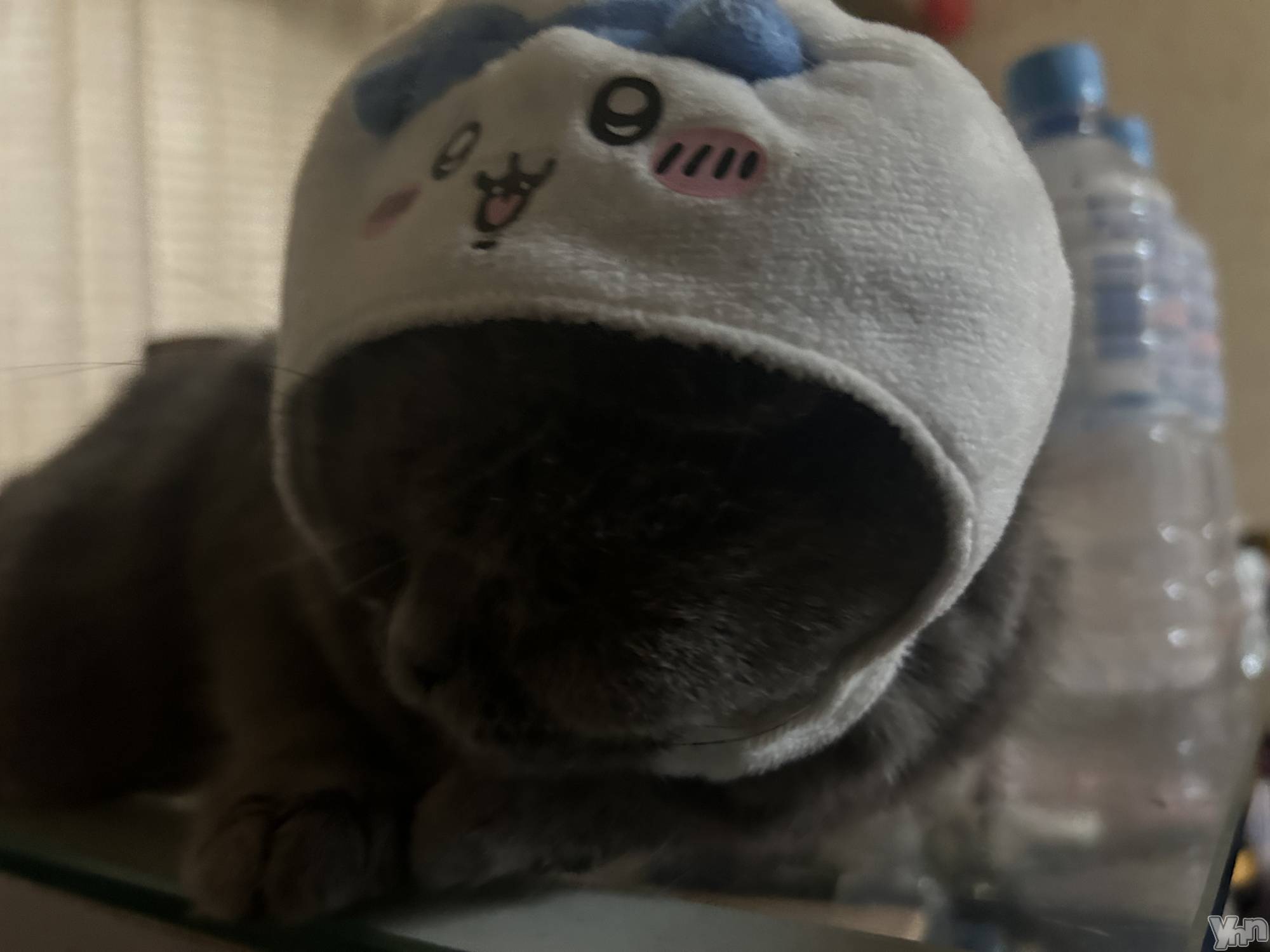 ���ܥ���Х��顦�����CLUB HEARTS(����֥ϡ���) ��2024ǯ5��19���̥�֥����֤������