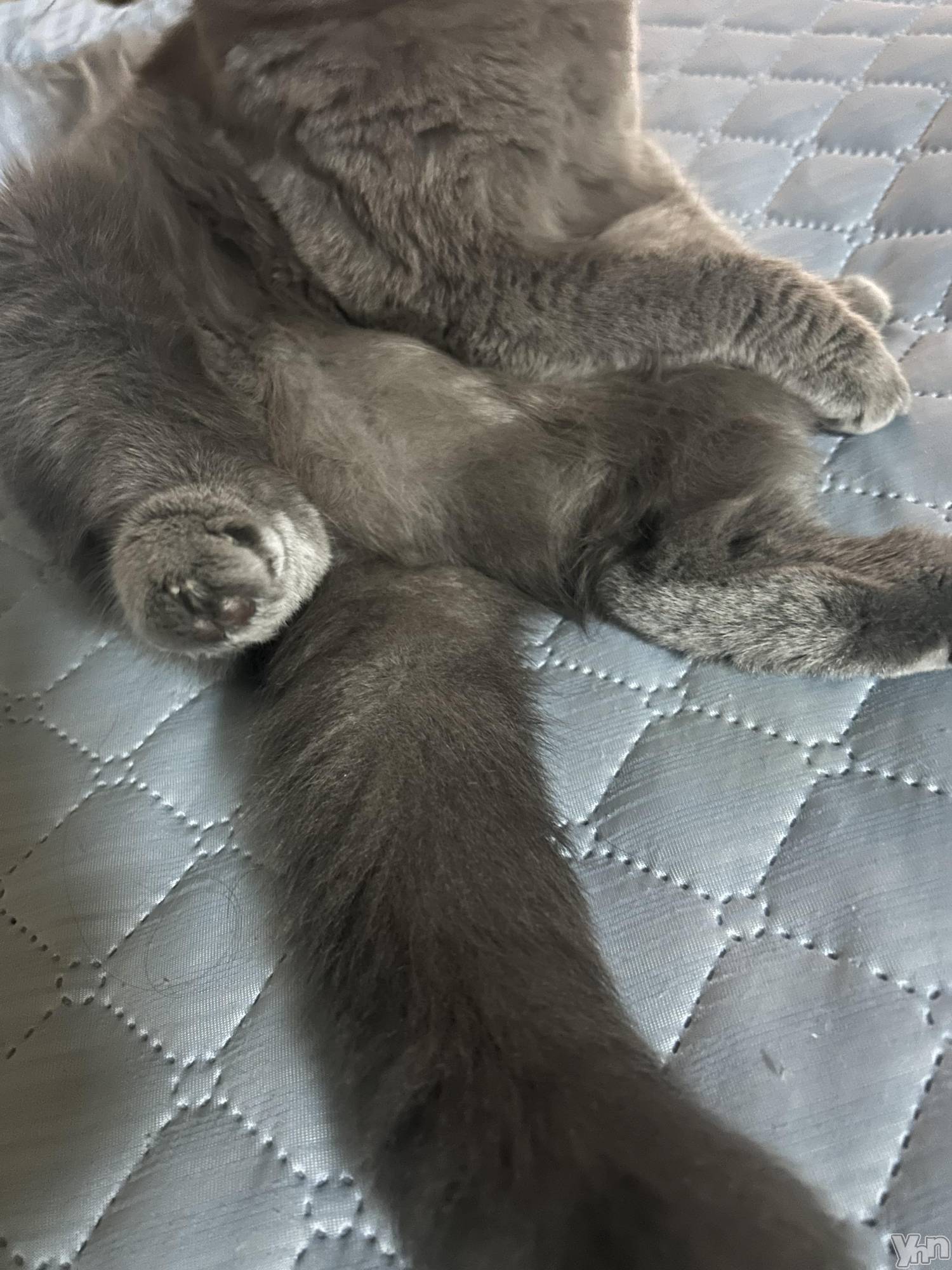 ���ܥ���Х��顦�����CLUB HEARTS(����֥ϡ���) ��2024ǯ5��29���̥�֥����֤���������